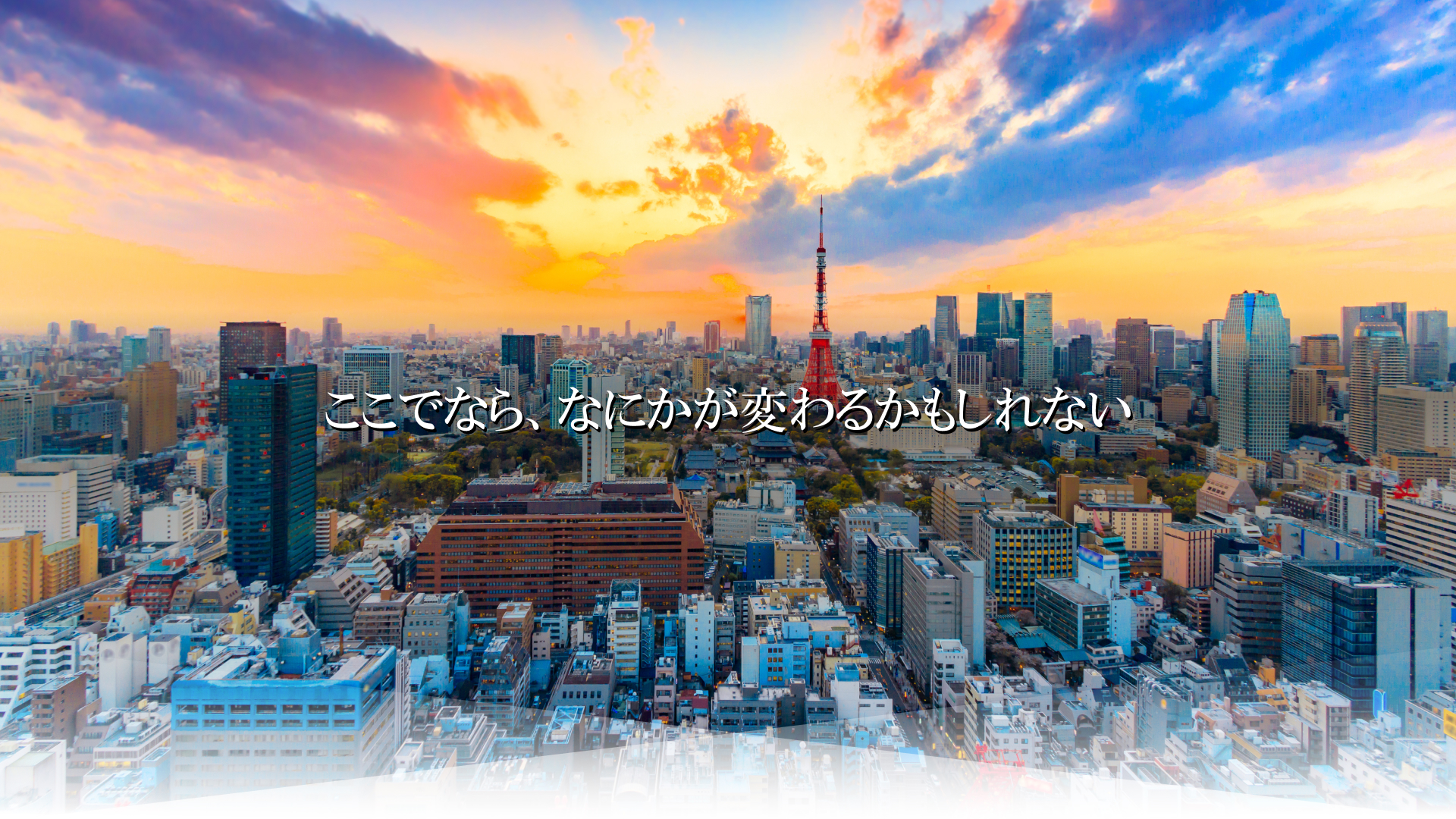 ここでなら、なにかが変わるかもしれない|株式会社ファルコ