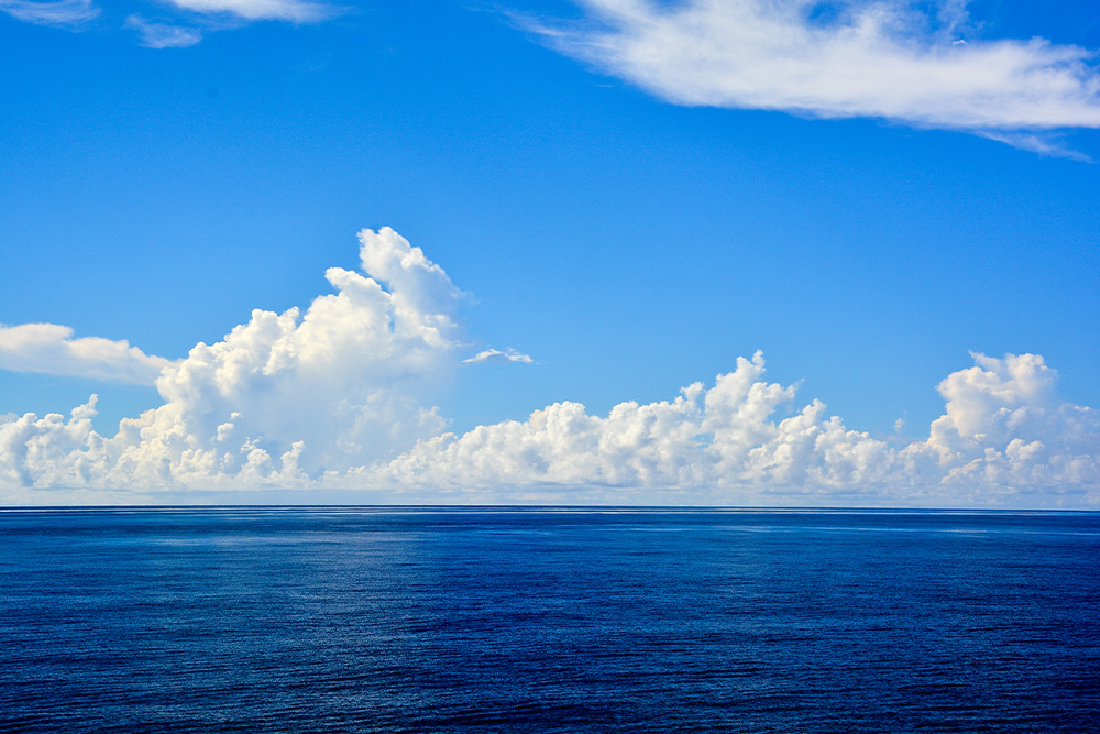 ファルコの事業のイメージ